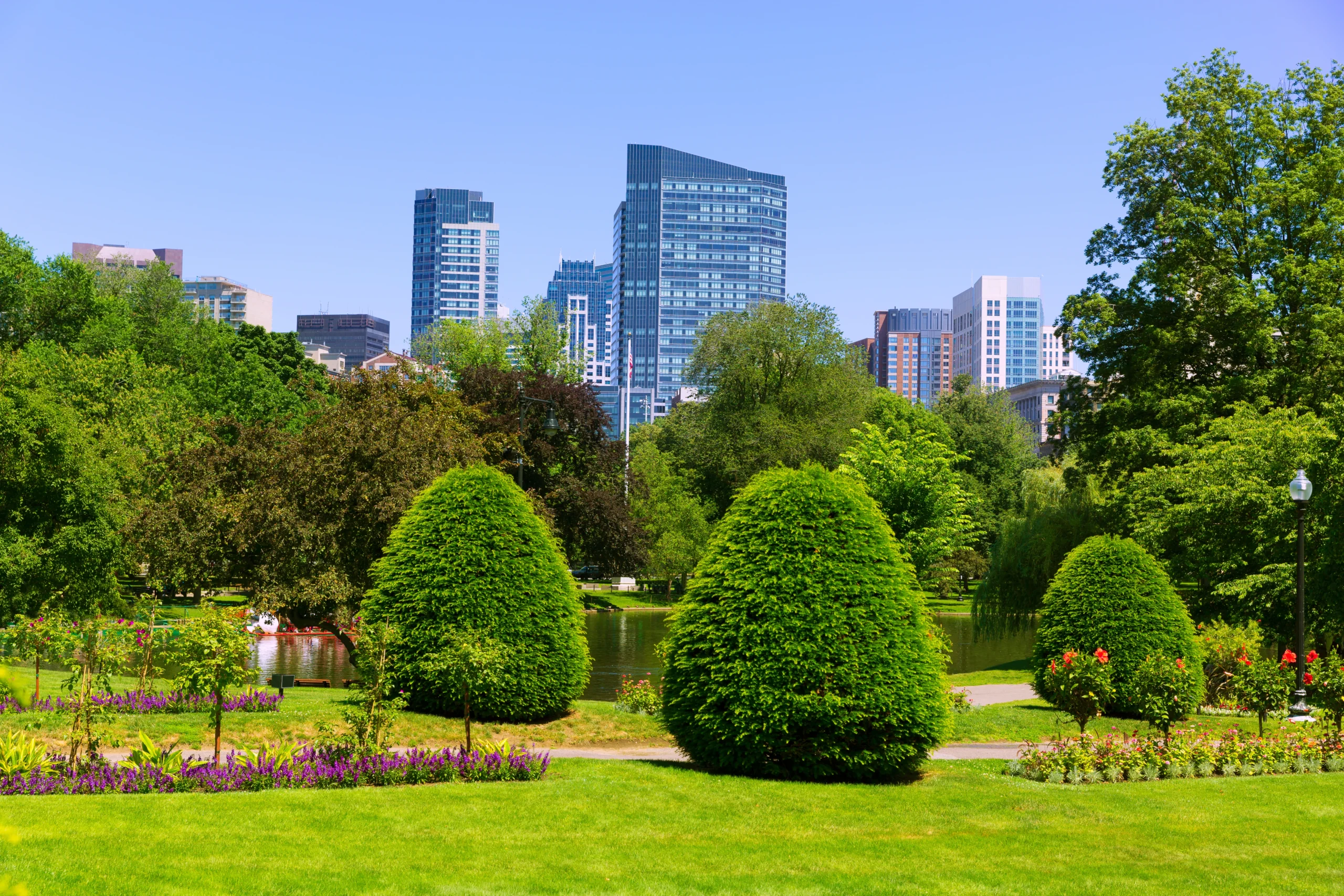 Boston Common has vibrant gardens and skyline views on sunny days.